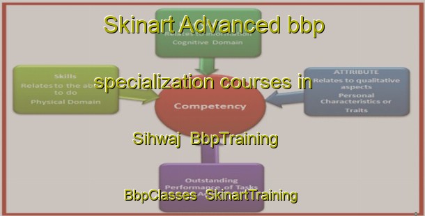 Skinart Advanced bbp specialization courses in Sihwaj | BbpTraining | BbpClasses | SkinartTraining-Egypt
