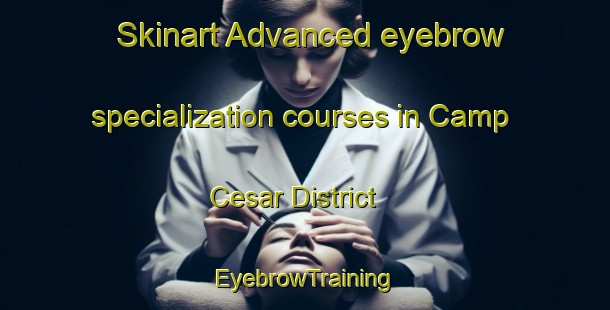 Skinart Advanced eyebrow specialization courses in Camp Cesar District | EyebrowTraining | EyebrowClasses | SkinartTraining-Egypt