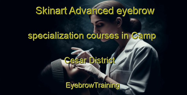 Skinart Advanced eyebrow specialization courses in Camp Cesar District | EyebrowTraining | EyebrowClasses | SkinartTraining-Egypt