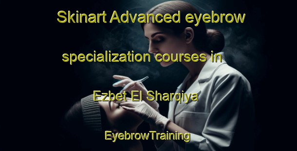 Skinart Advanced eyebrow specialization courses in Ezbet El Sharqiya | EyebrowTraining | EyebrowClasses | SkinartTraining-Egypt