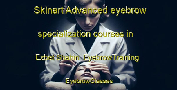 Skinart Advanced eyebrow specialization courses in Ezbet Shahin | EyebrowTraining | EyebrowClasses | SkinartTraining-Egypt