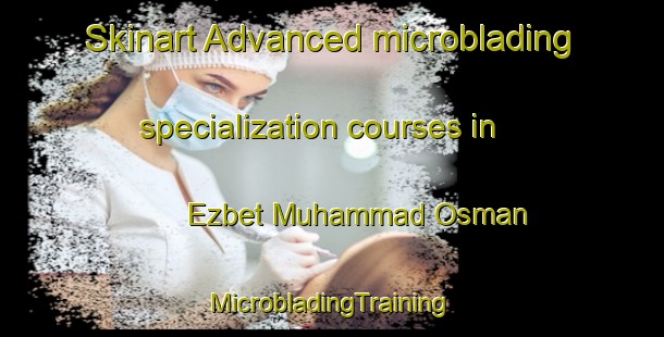 Skinart Advanced microblading specialization courses in Ezbet Muhammad Osman | #MicrobladingTraining #MicrobladingClasses #SkinartTraining-Egypt