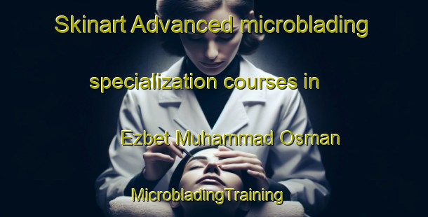 Skinart Advanced microblading specialization courses in Ezbet Muhammad Osman | MicrobladingTraining | MicrobladingClasses | SkinartTraining-Egypt