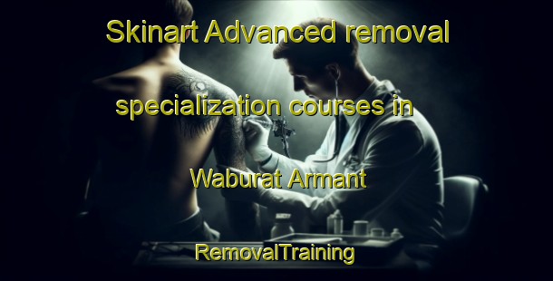 Skinart Advanced removal specialization courses in Waburat Armant | RemovalTraining | RemovalClasses | SkinartTraining-Egypt