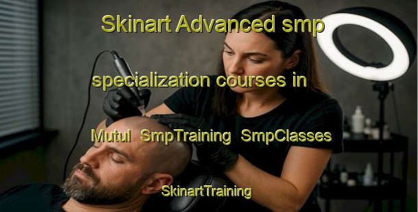 Skinart Advanced smp specialization courses in Mutul | SmpTraining | SmpClasses | SkinartTraining-Egypt