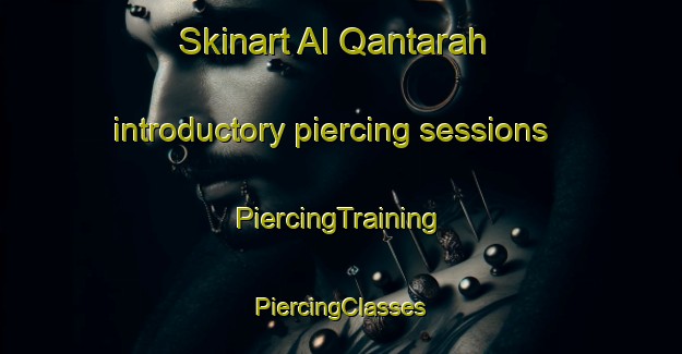 Skinart Al Qantarah introductory piercing sessions | #PiercingTraining #PiercingClasses #SkinartTraining-Egypt