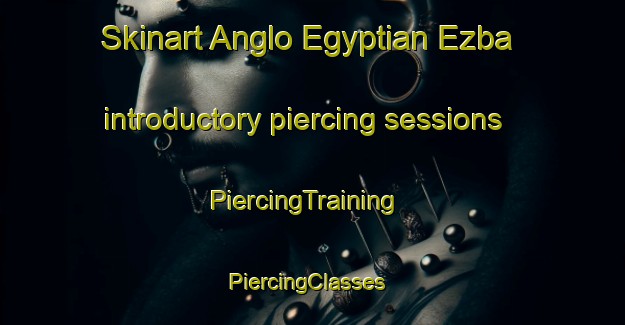 Skinart Anglo Egyptian Ezba introductory piercing sessions | PiercingTraining | PiercingClasses | SkinartTraining-Egypt