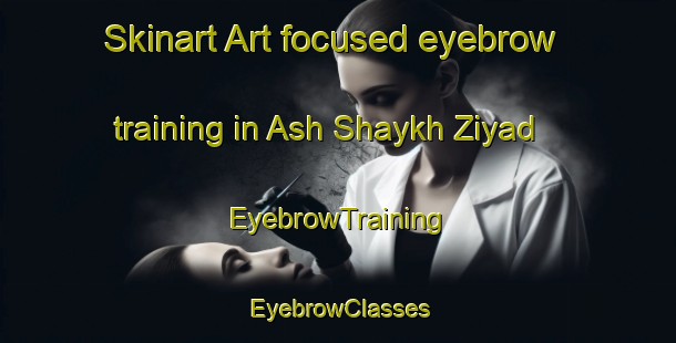 Skinart Art-focused eyebrow training in Ash Shaykh Ziyad | EyebrowTraining | EyebrowClasses | SkinartTraining-Egypt