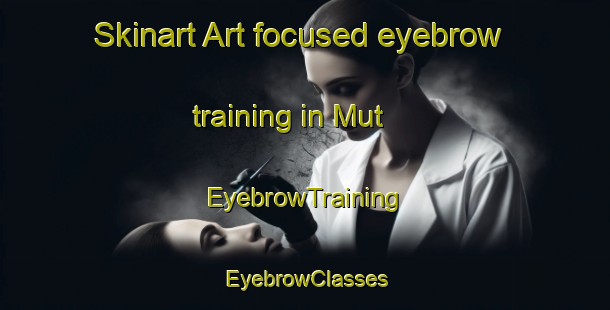 Skinart Art-focused eyebrow training in Mut | EyebrowTraining | EyebrowClasses | SkinartTraining-Egypt