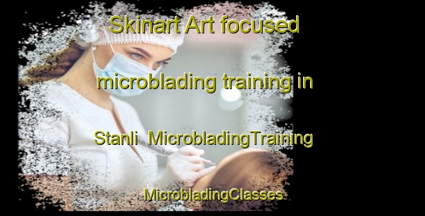 Skinart Art-focused microblading training in Stanli | #MicrobladingTraining #MicrobladingClasses #SkinartTraining-Egypt