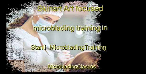 Skinart Art-focused microblading training in Stanli | MicrobladingTraining | MicrobladingClasses | SkinartTraining-Egypt