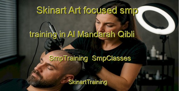 Skinart Art-focused smp training in Al Mandarah Qibli | SmpTraining | SmpClasses | SkinartTraining-Egypt
