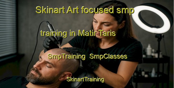 Skinart Art-focused smp training in Matir Taris | SmpTraining | SmpClasses | SkinartTraining-Egypt