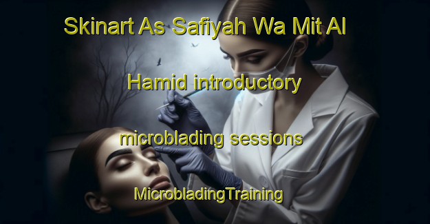 Skinart As Safiyah Wa Mit Al Hamid introductory microblading sessions | MicrobladingTraining | MicrobladingClasses | SkinartTraining-Egypt
