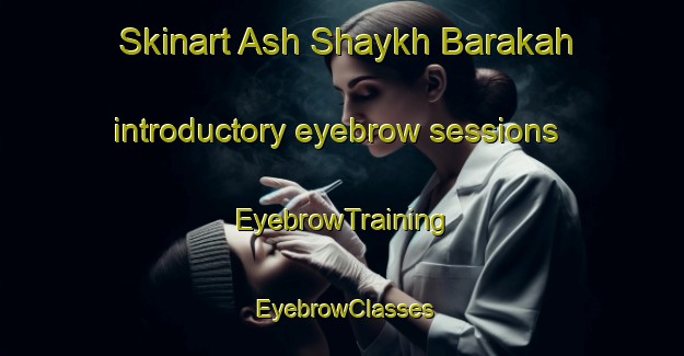 Skinart Ash Shaykh Barakah introductory eyebrow sessions | EyebrowTraining | EyebrowClasses | SkinartTraining-Egypt