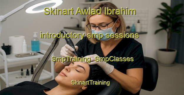 Skinart Awlad Ibrahim introductory smp sessions | SmpTraining | SmpClasses | SkinartTraining-Egypt
