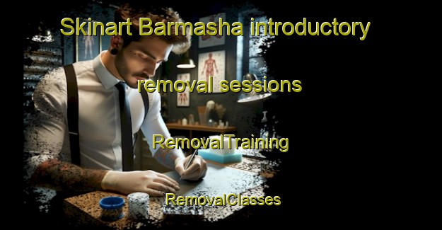 Skinart Barmasha introductory removal sessions | RemovalTraining | RemovalClasses | SkinartTraining-Egypt