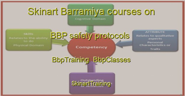 Skinart Barramiya courses on BBP safety protocols | BbpTraining | BbpClasses | SkinartTraining-Egypt