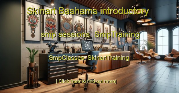 Skinart Bashams introductory smp sessions | SmpTraining | SmpClasses | SkinartTraining-Egypt