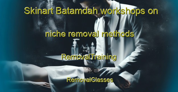 Skinart Batamdah workshops on niche removal methods | RemovalTraining | RemovalClasses | SkinartTraining-Egypt