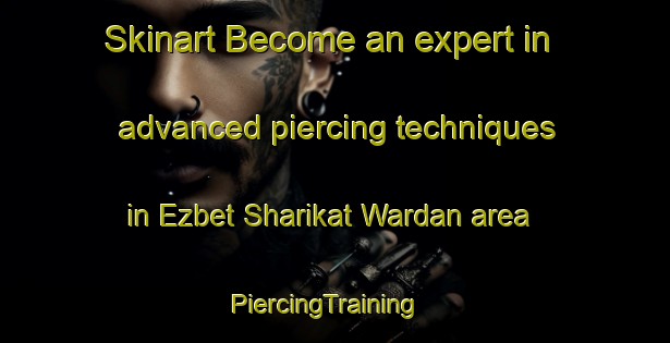 Skinart Become an expert in advanced piercing techniques in Ezbet Sharikat Wardan area | PiercingTraining | PiercingClasses | SkinartTraining-Egypt