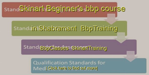 Skinart Beginner's bbp course in Shabramant | BbpTraining | BbpClasses | SkinartTraining-Egypt