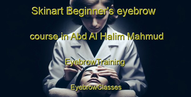 Skinart Beginner's eyebrow course in Abd Al Halim Mahmud | EyebrowTraining | EyebrowClasses | SkinartTraining-Egypt