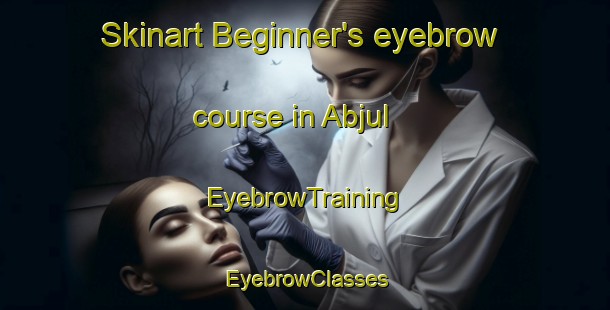 Skinart Beginner's eyebrow course in Abjul | EyebrowTraining | EyebrowClasses | SkinartTraining-Egypt