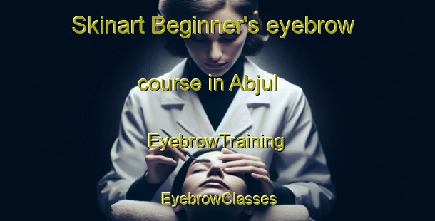 Skinart Beginner's eyebrow course in Abjul | EyebrowTraining | EyebrowClasses | SkinartTraining-Egypt