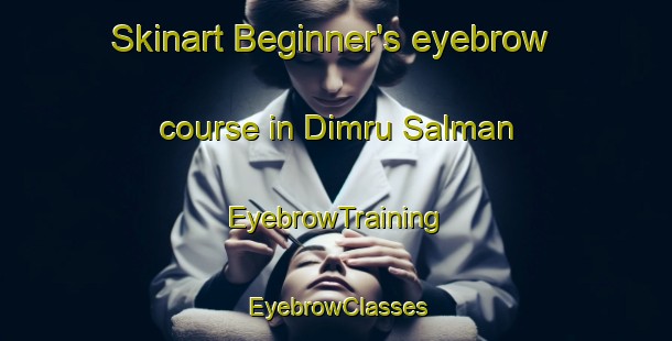 Skinart Beginner's eyebrow course in Dimru Salman | EyebrowTraining | EyebrowClasses | SkinartTraining-Egypt