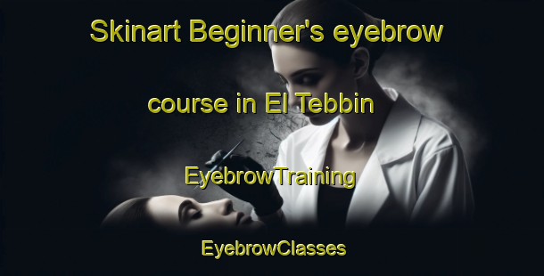Skinart Beginner's eyebrow course in El Tebbin | EyebrowTraining | EyebrowClasses | SkinartTraining-Egypt