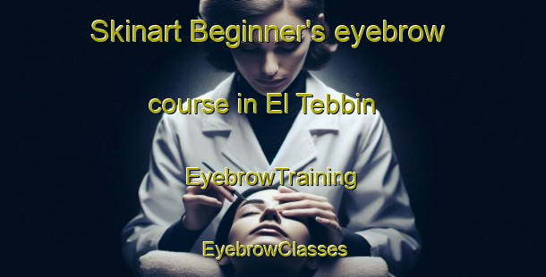 Skinart Beginner's eyebrow course in El Tebbin | EyebrowTraining | EyebrowClasses | SkinartTraining-Egypt