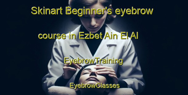 Skinart Beginner's eyebrow course in Ezbet Ain El Al | EyebrowTraining | EyebrowClasses | SkinartTraining-Egypt