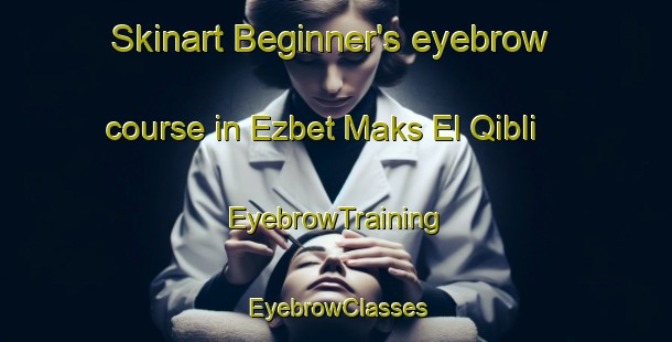 Skinart Beginner's eyebrow course in Ezbet Maks El Qibli | EyebrowTraining | EyebrowClasses | SkinartTraining-Egypt
