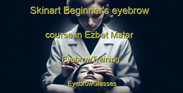 Skinart Beginner's eyebrow course in Ezbet Matar | EyebrowTraining | EyebrowClasses | SkinartTraining-Egypt