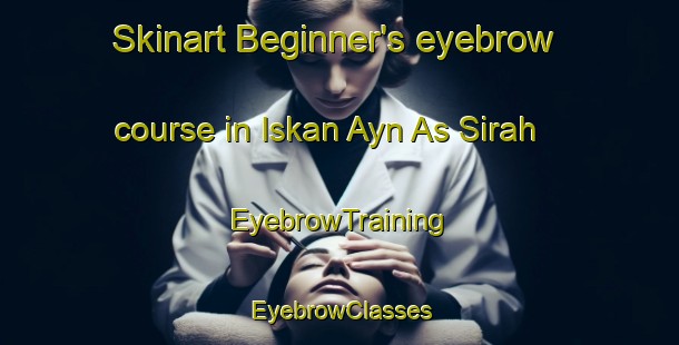 Skinart Beginner's eyebrow course in Iskan Ayn As Sirah | EyebrowTraining | EyebrowClasses | SkinartTraining-Egypt
