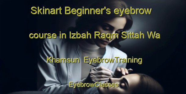 Skinart Beginner's eyebrow course in Izbah Raqm Sittah Wa Khamsun | EyebrowTraining | EyebrowClasses | SkinartTraining-Egypt