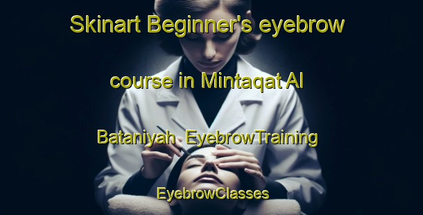 Skinart Beginner's eyebrow course in Mintaqat Al Bataniyah | EyebrowTraining | EyebrowClasses | SkinartTraining-Egypt
