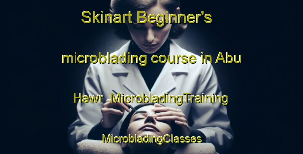 Skinart Beginner's microblading course in Abu Hawr | #MicrobladingTraining #MicrobladingClasses #SkinartTraining-Egypt