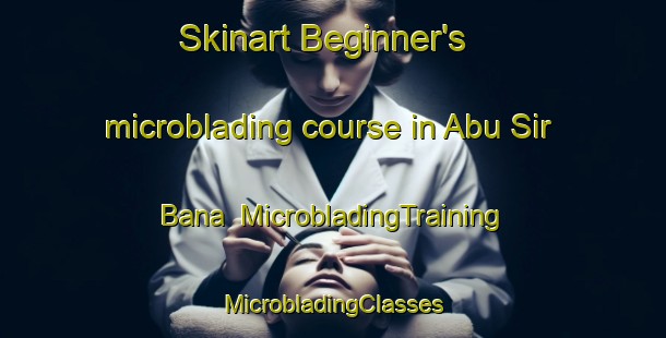 Skinart Beginner's microblading course in Abu Sir Bana | #MicrobladingTraining #MicrobladingClasses #SkinartTraining-Egypt