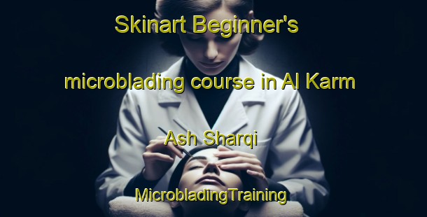 Skinart Beginner's microblading course in Al Karm Ash Sharqi | #MicrobladingTraining #MicrobladingClasses #SkinartTraining-Egypt