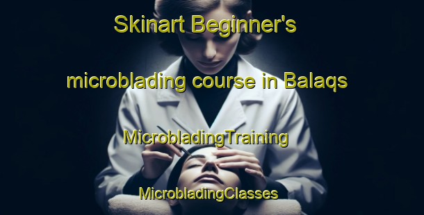 Skinart Beginner's microblading course in Balaqs | MicrobladingTraining | MicrobladingClasses | SkinartTraining-Egypt