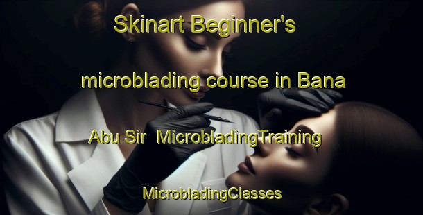 Skinart Beginner's microblading course in Bana Abu Sir | #MicrobladingTraining #MicrobladingClasses #SkinartTraining-Egypt