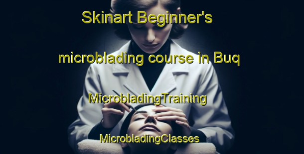 Skinart Beginner's microblading course in Buq | MicrobladingTraining | MicrobladingClasses | SkinartTraining-Egypt