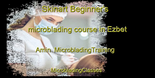 Skinart Beginner's microblading course in Ezbet Amin | MicrobladingTraining | MicrobladingClasses | SkinartTraining-Egypt