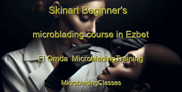 Skinart Beginner's microblading course in Ezbet El Omda | #MicrobladingTraining #MicrobladingClasses #SkinartTraining-Egypt