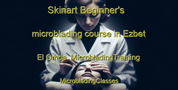 Skinart Beginner's microblading course in Ezbet El Omda | #MicrobladingTraining #MicrobladingClasses #SkinartTraining-Egypt