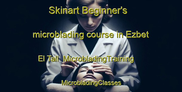 Skinart Beginner's microblading course in Ezbet El Tall | #MicrobladingTraining #MicrobladingClasses #SkinartTraining-Egypt