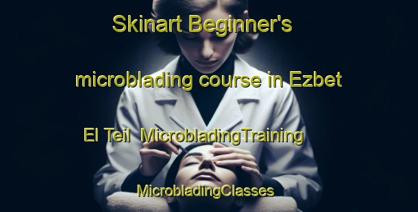 Skinart Beginner's microblading course in Ezbet El Teil | MicrobladingTraining | MicrobladingClasses | SkinartTraining-Egypt