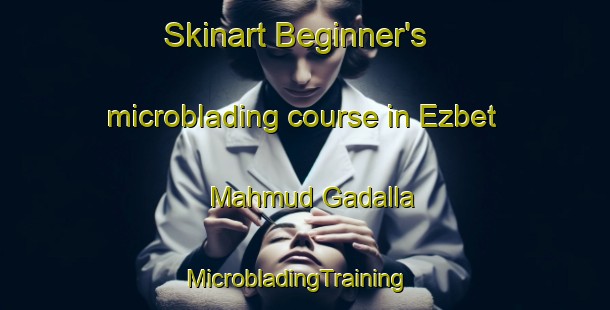 Skinart Beginner's microblading course in Ezbet Mahmud Gadalla | MicrobladingTraining | MicrobladingClasses | SkinartTraining-Egypt